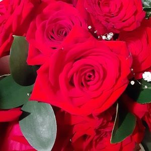 Meet your Posher, Maryoris